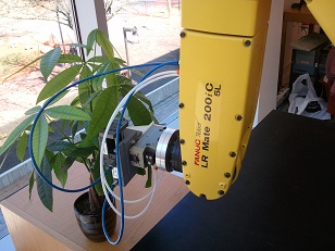 GIGAS Project Image 1