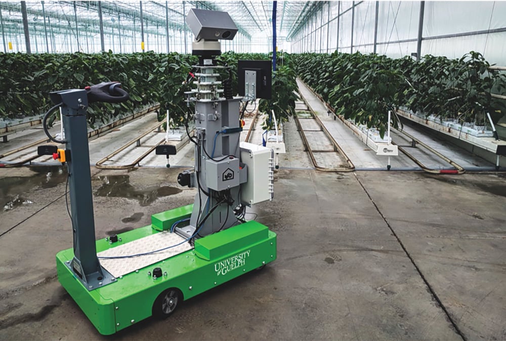 Plant-Disease-Detecting Robot Created at University of Guelph